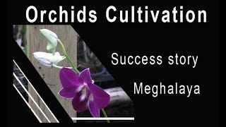 Orchids Cultivation in North East India