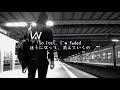 【和訳】【立体音響】 alan walker faded