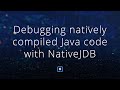 Debugging natively compiled Java code with NativeJDB