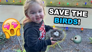 LILLY FINDS A BIRDS NEST!