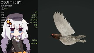 広大な大自然で狩りをするあかりちゃんのtheHunter CotW#50