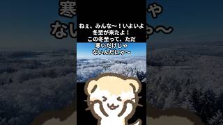 2025年新たな飛躍の流れにのる準備♡冬至～春分までのテーマとは？ #風の時代 #冬至 #天職起業