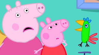 The Funny Parrot  😂 🐽 Peppa Pig and Friends Full Episodes