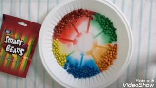 Color Diffusion Experiment for Kids | Skittles Science Experiment | Indoor Activities for Kids