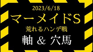 2023 マーメイドS　軸ウマサガシ