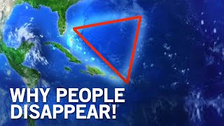 Who Lives at the Bottom of the Bermuda Triangle?