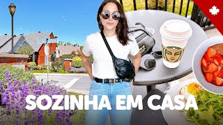 DEMOREI PRA ENTENDER ISSO… • Meu bairro, compras no shopping, dieta, mercado, dia a dia 🇨🇦