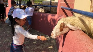 Sharjah Zoo - Sharjah Desert Park - United Arab Emirates