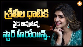 Sree Leela Sensation in Tollywood With Multiple Offers in Hand? | Sree Leela Top in Tollywood |Lovle