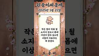 오늘의 원숭이띠 운세 2025년 1월 21일 #원숭이띠 #오늘의운세 #내일의운세 #운세 #운세쇼츠