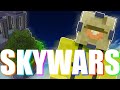 Eggwars Player Tries Skywars | Cubecraft Bedrock