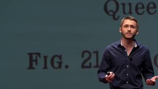 Save the bees! But how? | Brandon Dawson | TEDxDuke