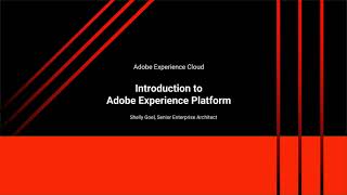 Adobe Experience Platform Overview