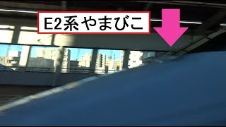 E2系やまびこが通過待ちをしている宇都宮駅を高速で通過していく東北新幹線下りE5系はやぶさの車窓