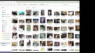 Advanced Machine Learning Classifier 1.0 | Full Demo & Walkthrough
