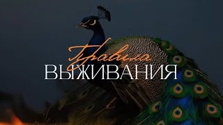 Официальный трейлер к книге «Правила Выживания» (ИИ) Костров и Павлинова