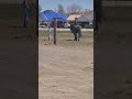 Simon teaching another student. #gvhr #horserescue #equestrian #horse