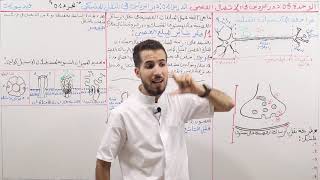 حلالتمرين 4 صفحة 183 مقطع التناظر المحوري رياضيات اولى متوسط الجيل الثاني