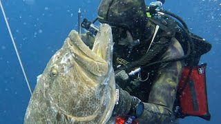 Commercial Spearfishing the Dry Tortugas with @slinginsteel100