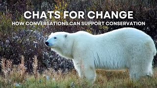 Chats for Change - How Conversations Can Support Conservation | Tundra Connections