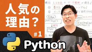 Pythonの特徴と人気の理由【情報I基礎】Python 1