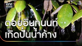 “ดอยอินทนนท์” หนาวจัดเกิด “ปั่นน้ำค้าง” | ข่าวเที่ยงช่องวัน | สำนักข่าววันนิวส์