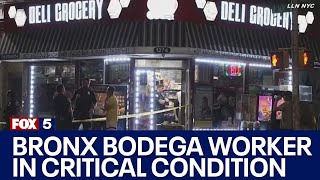 Bronx bodega worker in critical condition after being stabbed multiple times in the chest