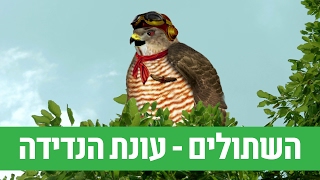 השתולים: עונת הנדידה - ניקלודיאון