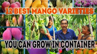 12 Best Mango Varieties you can grow in Container // Pot Growing Mango