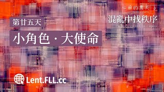 混乱中找秩序 | 第廿五天 | 小角色 · 大使命