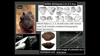 CARTA Presents The Origins of Today's Humans - Paola Villa, The Archaeology of Ancient Tools