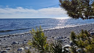 Visiting Ören Nature Reserve in Sweden,Nynäshamn! (first vlog) #trending #2024 #viral #vlog #fyp