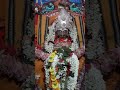 baba paschima samvo somanath harirajpur