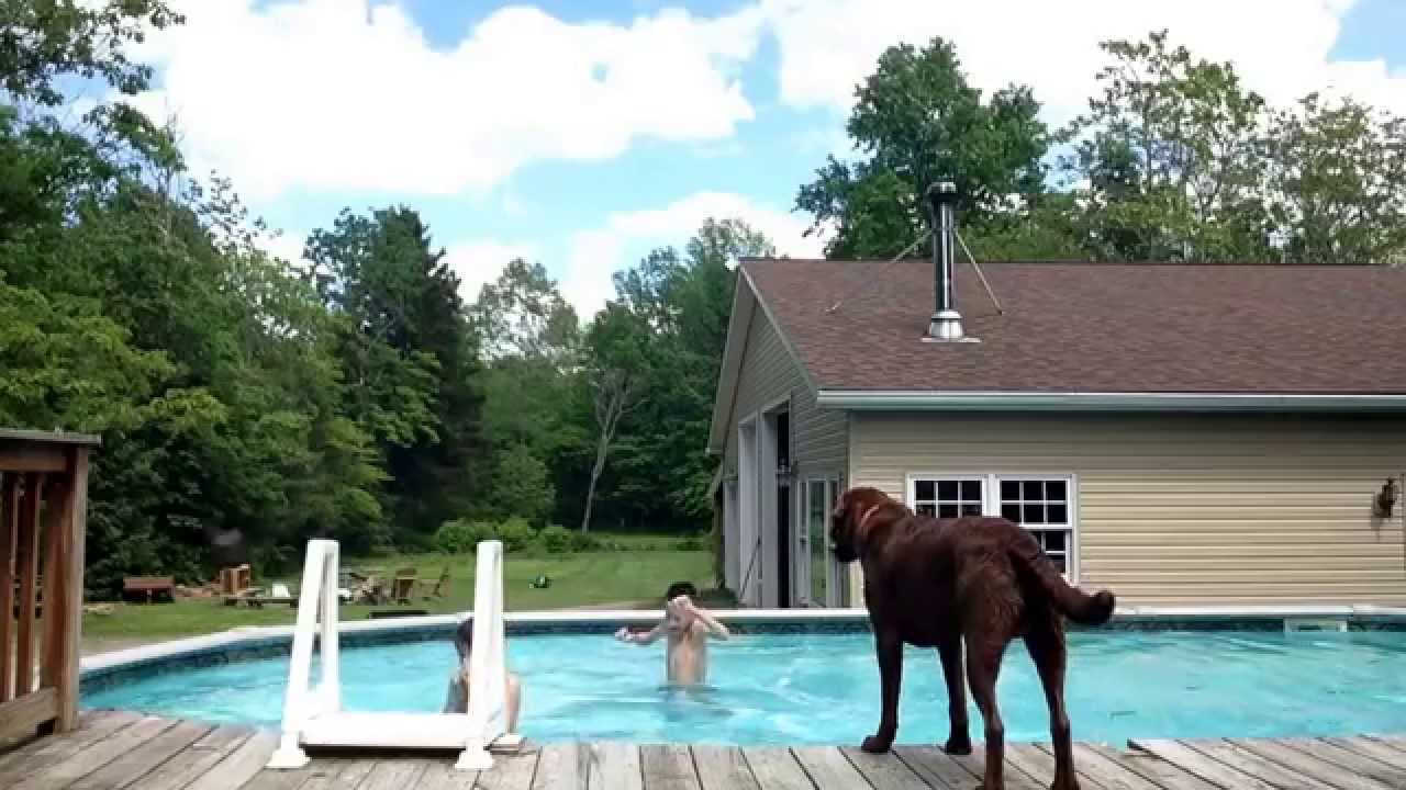 Ice Cold Pool Challenge Youtube