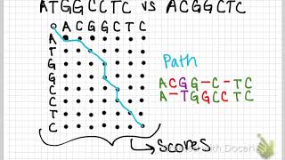 global sequence alignment