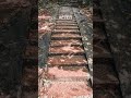 ancient steps at maligatenna rajamaha viharaya 🌿🏛️ ancient history ruins travel shorts