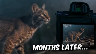 Camera Trapping 101 (ft. Neil Jernigan)