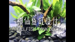 神仙鱼缸设计 ANGELFISH TANK DESIGN