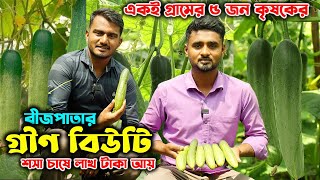 তীব্র গরমের বীজপাতার গ্রীন বিউটি শসা চাষে লাখ টাকা আয় | উদ্যোক্তার খোঁজে