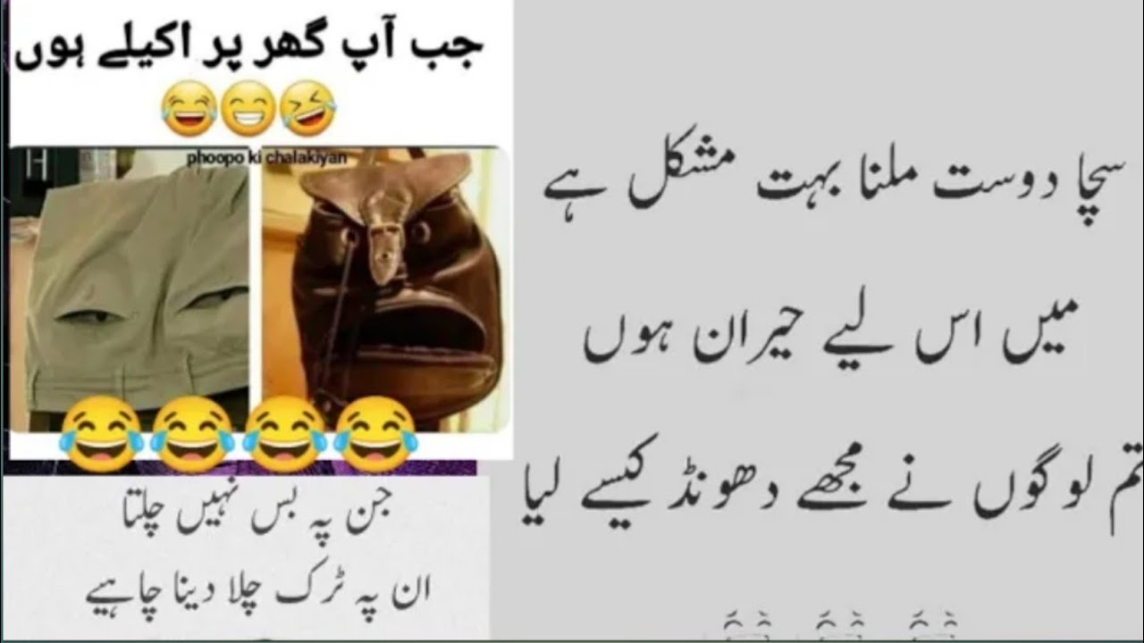 Shadion Ki 5 Ahm Rsmain||phupho Ki Chalakiyan||lteefon Ki Duniya||hnsna ...