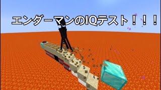 エンダーマンのIQテスト！！！