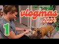 Day 1 - casting on my advent projects! // Vlogmas 2024