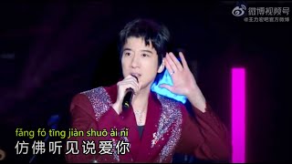 [心中的日月] #王力宏 (Live) 动态歌词 Lyrics/Pinyin Wang Leehom Live @ Linyi Music Festival 2024