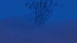 450 sharks flocking in real-time (v2)