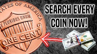 Shield Penny Coins worth LOTS of MONEY!