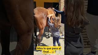 Hay un percance...😱 #sorpresa #cola #caballo #hipica #daniela #horse #musiclyrics