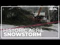 Portlanders wake up to historic April snowfall