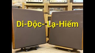 Cực Độc loa Dahlquist DQ-10,Đáng Sưu Tầm ( 0333.289.289)