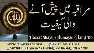 Muraqba Ki Kefiyaat | Naqshbandi Zikr | Silsila e Naqshbandi | Hazrat Shaykh Humayun Hanif Db