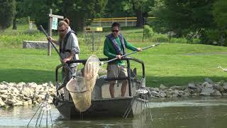 Electrofishing Survey at Yellow Creek Park Lake